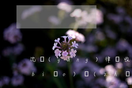 沈陽(yáng)律師收費(fèi)標(biāo)準(zhǔn)2017(沈陽(yáng)律師收費(fèi)標(biāo)準(zhǔn)和方式)