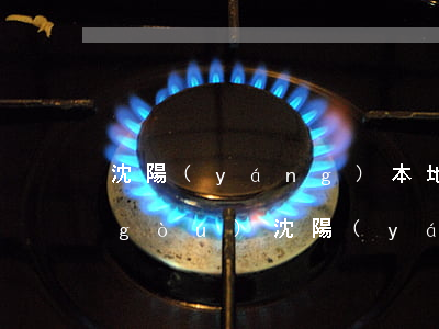 沈陽(yáng)本地貸款機(jī)構(gòu)（沈陽(yáng)貸款還不起）