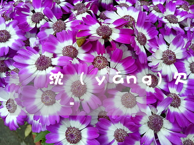 沈陽(yáng)欠債52783逾期怎么辦-