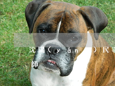 沈陽(yáng)民事債務(wù)糾紛律師