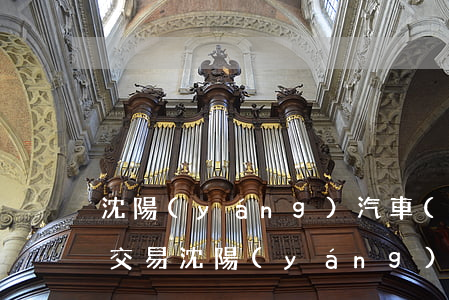 沈陽(yáng)汽車(chē)牌照怎么交易(沈陽(yáng)汽車(chē)牌照怎么交易)