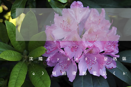 沈陽(yáng)皇姑區(qū)債務(wù)糾紛律師電話(huà)咨詢(xún)-沈陽(yáng)皇姑區(qū)律師咨詢(xún)免費(fèi)咨詢(xún)