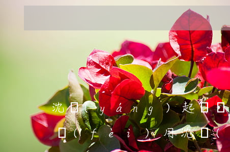 沈陽(yáng)起訴費(fèi)是多少費(fèi)用(沈陽(yáng)法院起訴電話)