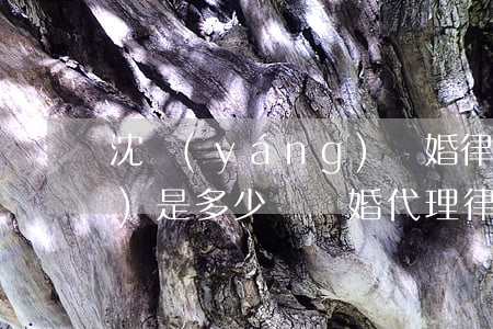 沈陽(yáng)離婚律師代理費(fèi)是多少錢(離婚代理律師費(fèi)用一般多少)