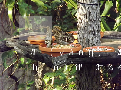 沈陽(yáng)離婚財(cái)產(chǎn)律師怎么委托(沈陽(yáng)離婚律師代理費(fèi)是多少錢)