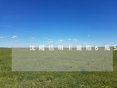 沈陽信用卡逾期6萬5萬