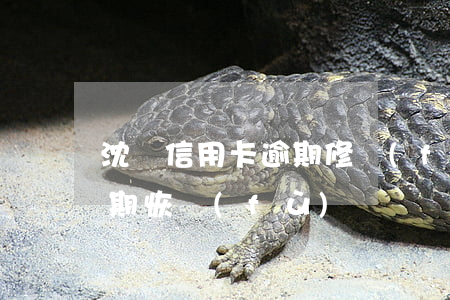 沈陽信用卡逾期修復(fù)公司(信用卡逾期恢復(fù))