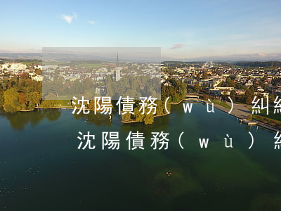 沈陽債務(wù)糾紛律師費(fèi)用(沈陽債務(wù)糾紛的律師費(fèi))