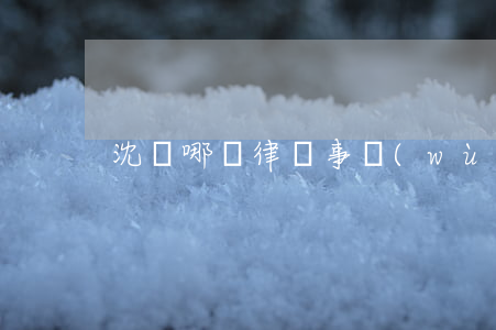沈陽哪個律師事務(wù)所比較好