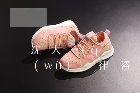 沈陽大東區(qū)債權(quán)債務(wù)糾紛律師咨詢-沈陽債務(wù)糾紛律師事務(wù)所