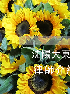 沈陽大東區(qū)離婚債務(wù)糾紛律師介紹-沈陽大東區(qū)離婚債務(wù)糾紛律師介紹電話