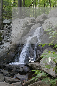 沈陽市交通事故推薦律師(沈陽十大律師)