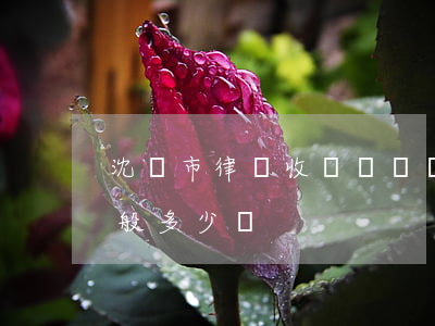 沈陽市律師收費標準(試行)(沈陽律師咨詢費一般多少錢)