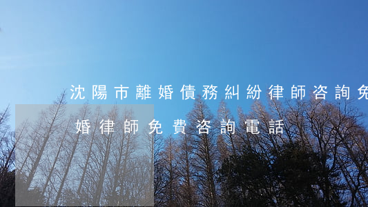 沈陽市離婚債務糾紛律師咨詢免費-沈陽離婚律師免費咨詢電話