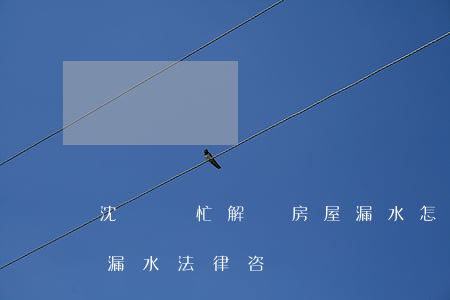 沈陽幫忙解決房屋漏水怎么找律師(裝修房子漏水法律咨詢)