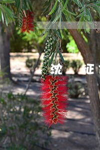 沈陽征信逾期能辦房貸嗎(房貸逾期可以申訴嗎)