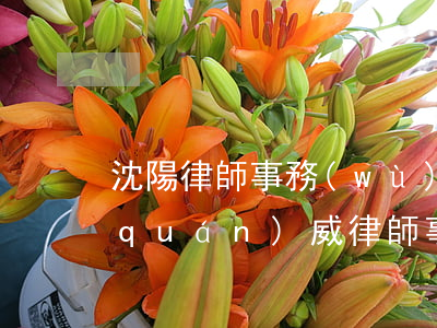沈陽律師事務(wù)所排名第一(沈陽權(quán)威律師事務(wù)所)