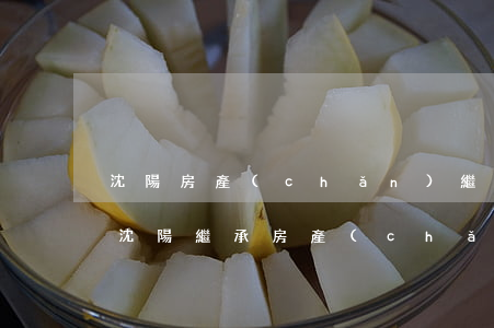 沈陽房產(chǎn)繼承去什么部門辦理(沈陽繼承房產(chǎn)費(fèi)用)