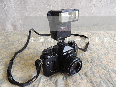 沈陽有信用卡逾期的嗎(信用卡逾期能申訴嗎)