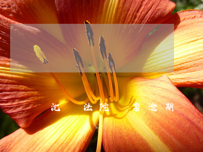 沈陽法院傳票逾期