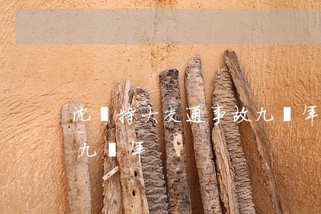 沈陽特大交通事故九幾年(沈陽特大交通事故九幾年)