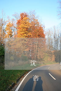 沈陽請(qǐng)離婚律師(沈陽離婚糾紛咨詢)