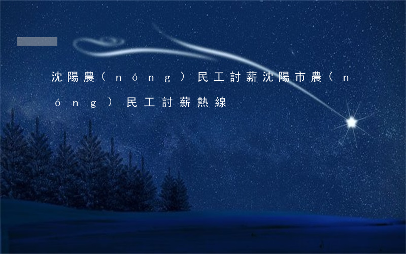 沈陽農(nóng)民工討薪(沈陽市農(nóng)民工討薪熱線)