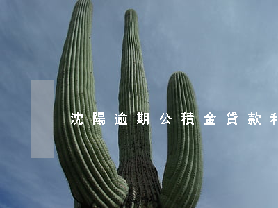 沈陽逾期公積金貸款利率(沈陽市公積金貸款)