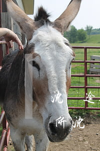 沈陽逾期協(xié)商律師事務(wù)所(沈陽經(jīng)濟糾紛律師咨詢)