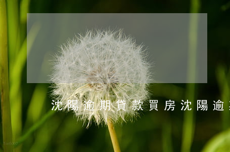 沈陽逾期貸款買房(沈陽逾期貸款買房政策)