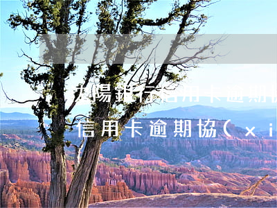 沈陽銀行信用卡逾期協(xié)商(哈爾濱信用卡逾期協(xié)商還款)