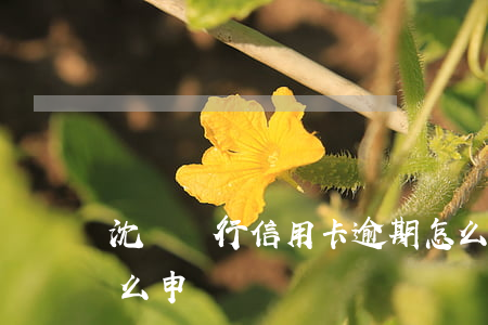 沈陽銀行信用卡逾期怎么處理(銀行卡逾期怎么申訴)