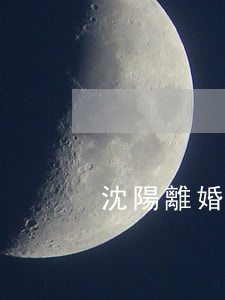 沈陽離婚官司律師(沈陽離婚官司律師)