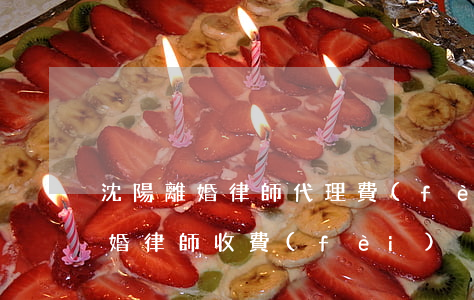 沈陽離婚律師代理費(fèi)是多少錢(離婚律師 收費(fèi))