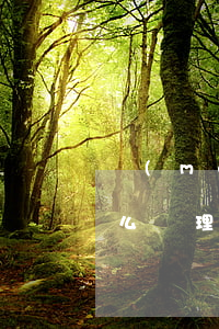 沒(méi)人繼承的遺產(chǎn)怎么處理(遺產(chǎn)繼承找不到繼承人怎么辦)