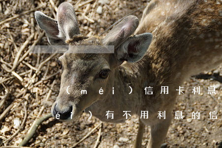 沒(méi)信用卡利息低的軟件(有沒(méi)有不用利息的信用卡)
