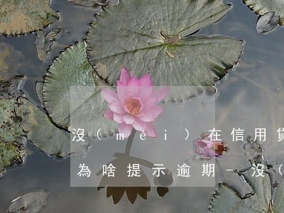 沒(méi)在信用貸上貸過(guò)款為啥提示逾期-沒(méi)在信用貸上貸過(guò)款為啥提示逾期了