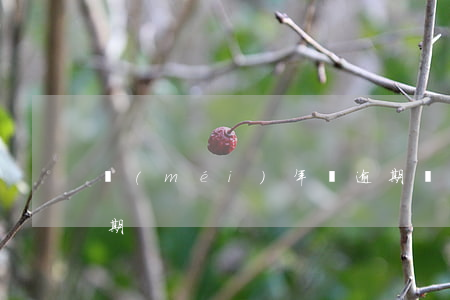 沒(méi)年檢逾期 沒(méi)年檢逾期