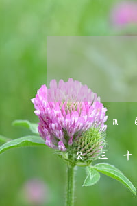 沒(méi)房沒(méi)車(chē)欠三十萬(wàn)網(wǎng)貸(差十幾萬(wàn)的網(wǎng)貸沒(méi)有錢(qián)還怎么辦)