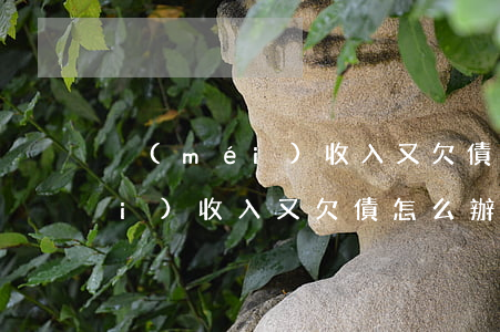 沒(méi)收入又欠債怎么辦-沒(méi)收入又欠債怎么辦說(shuō)說(shuō)