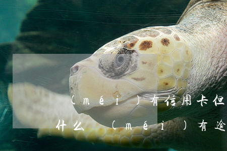 沒(méi)有信用卡但是征信顯示逾期(為什么沒(méi)有逾期征信怎么有問(wèn)題)