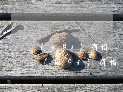 沒(méi)有借錢證據(jù)如何起訴(沒(méi)有借錢的借據(jù)可以上法庭起訴嗎)