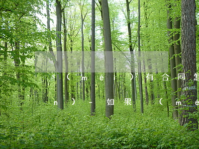 沒(méi)有合同怎么起訴欠錢(qián)-如果沒(méi)有合同怎么要賬