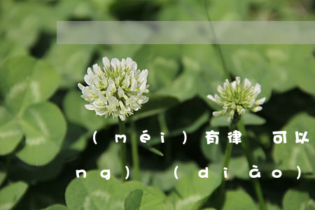 沒(méi)有律師可以向法院申請(qǐng)調(diào)查令嗎(法律工作者可以向法院申請(qǐng)調(diào)查令嗎)
