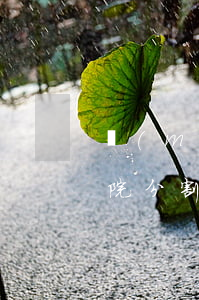 沒(méi)有房產(chǎn)證可以法院分割嗎(遺產(chǎn)房子沒(méi)有房產(chǎn)證法院怎么判決分割)