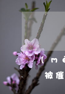 沒(méi)有欠網(wǎng)貸公司錢卻被催收(沒(méi)有網(wǎng)貸卻收到催款)