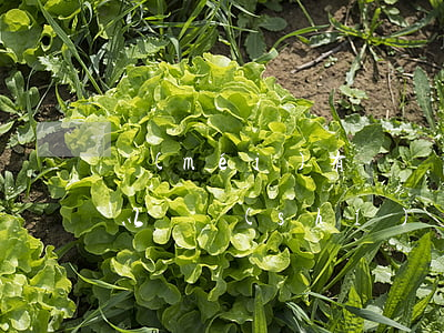 沒(méi)有簽勞動(dòng)合同可以隨時(shí)離職嗎(入職沒(méi)有簽勞動(dòng)合同可以隨時(shí)離職嗎)