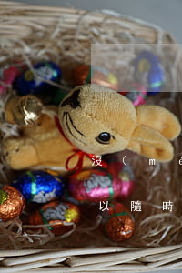 沒(méi)有簽勞動(dòng)合同可以隨時(shí)離職嗎(沒(méi)有簽勞動(dòng)合同可以隨時(shí)離職嗎)