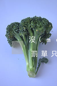 沒(méi)有處罰單可以直接去法院交嗎(罰單只能在本地交嗎)