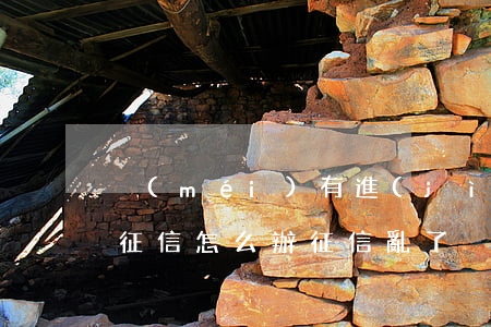 沒(méi)有進(jìn)行信用卡逾期征信怎么辦(征信亂了沒(méi)有逾期能申請(qǐng)信用卡嗎)